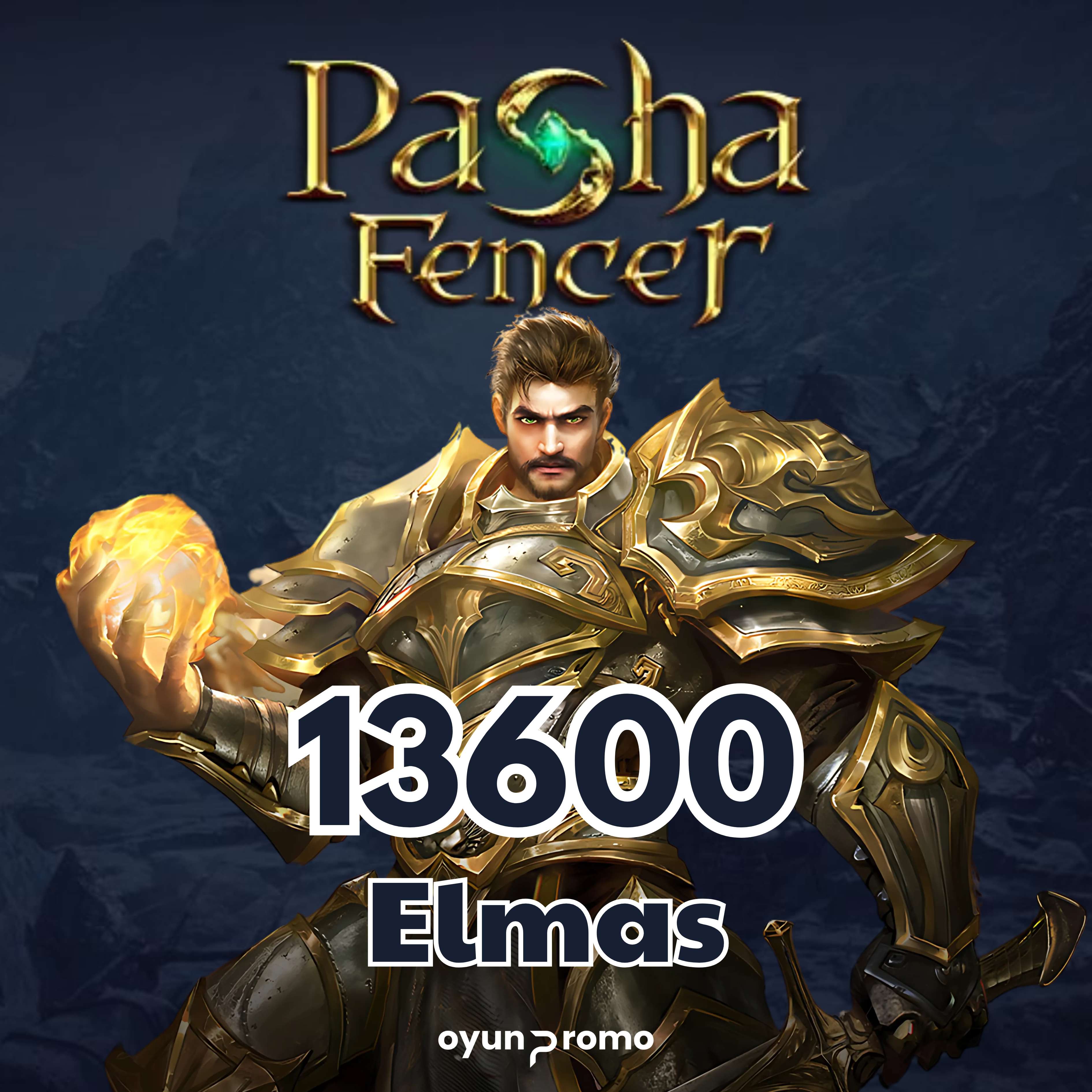 Pasha Fencer 13600 Elmas