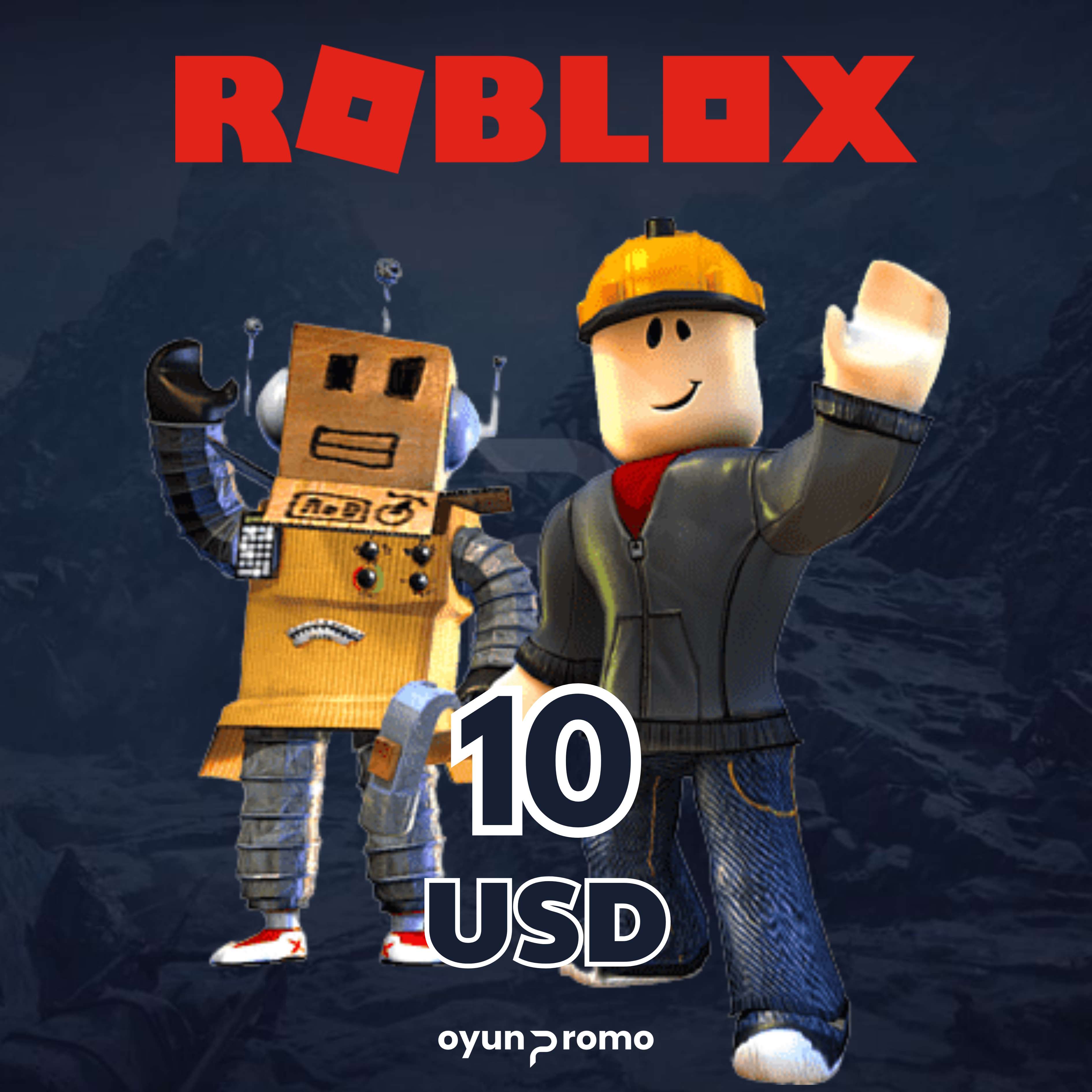 Roblox 10 USD