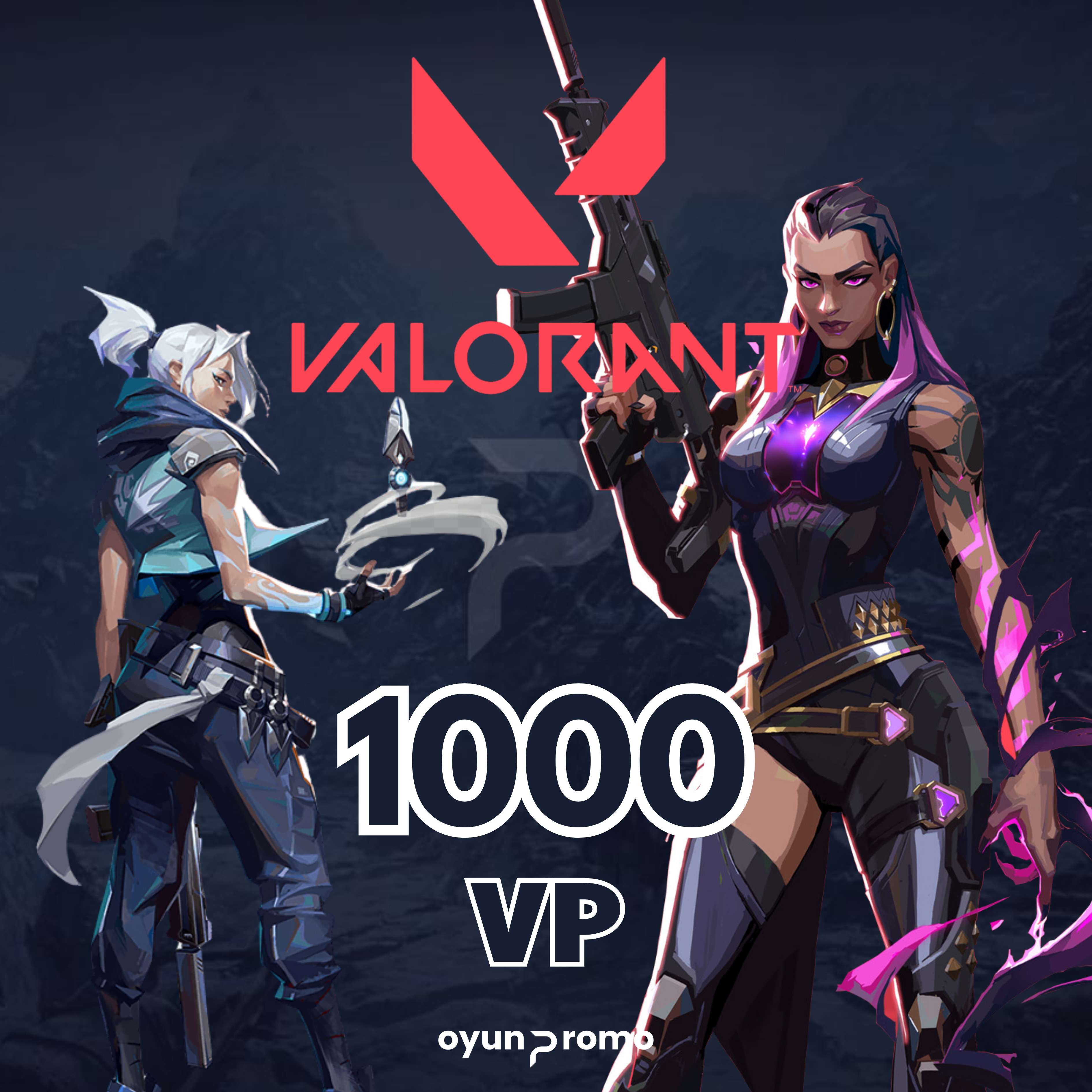 Valorant 1000 VP