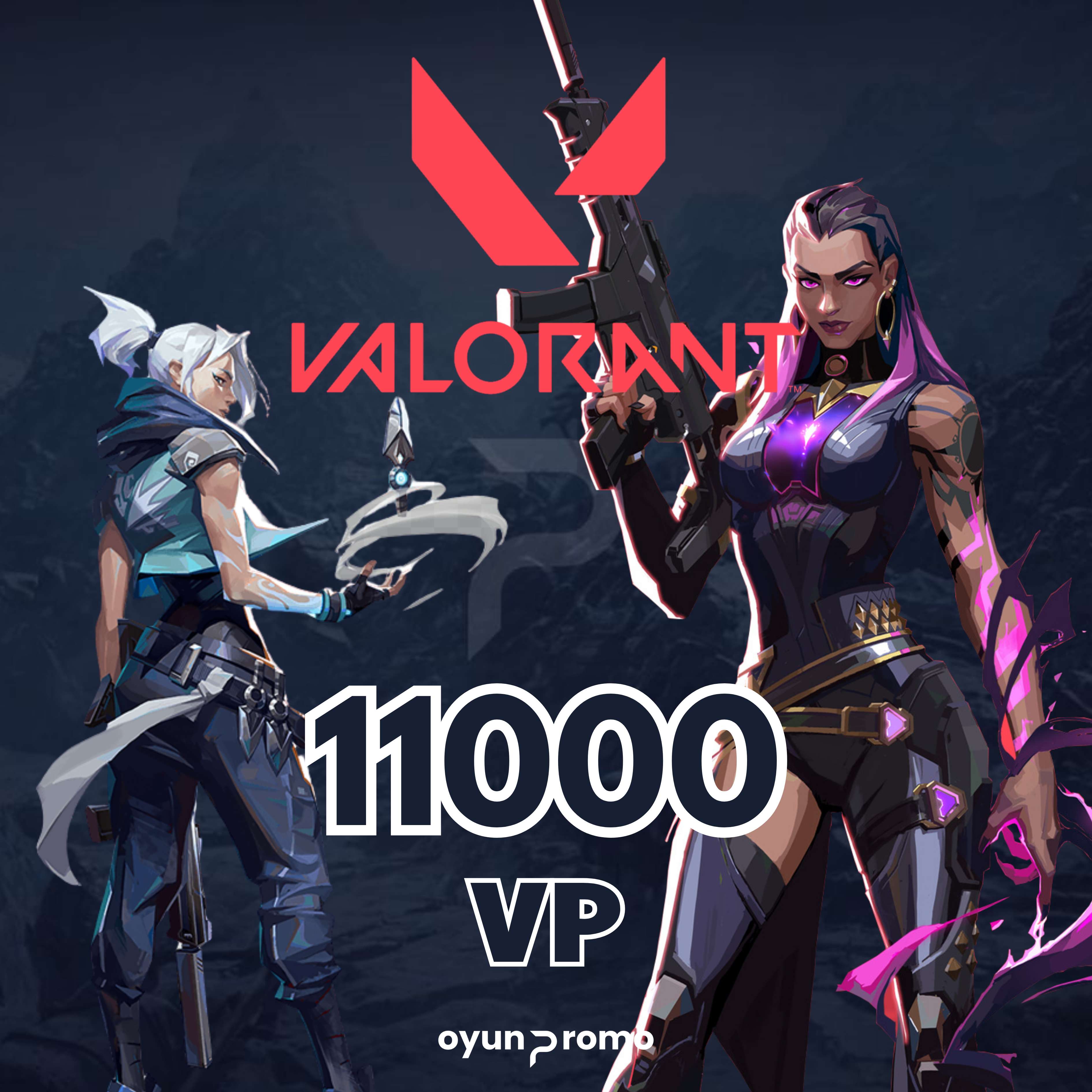 Valorant 11000 VP